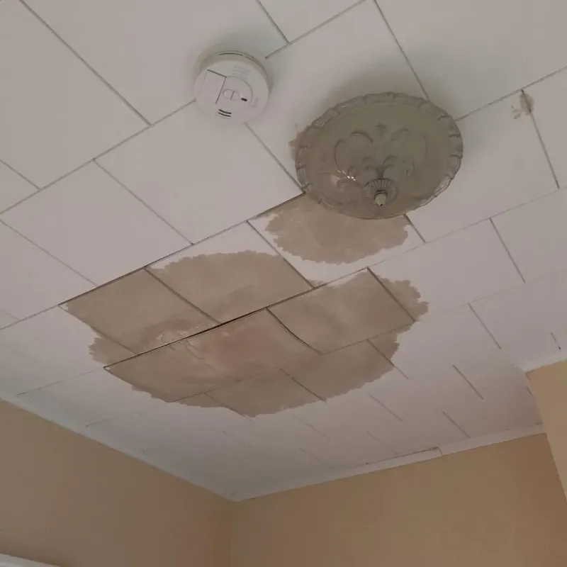 Ceiling Water Damage Repair in Harpersville, AL
