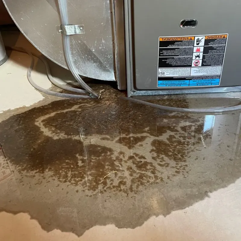 Pipe Burst and Leak Restoration in Harpersville, AL