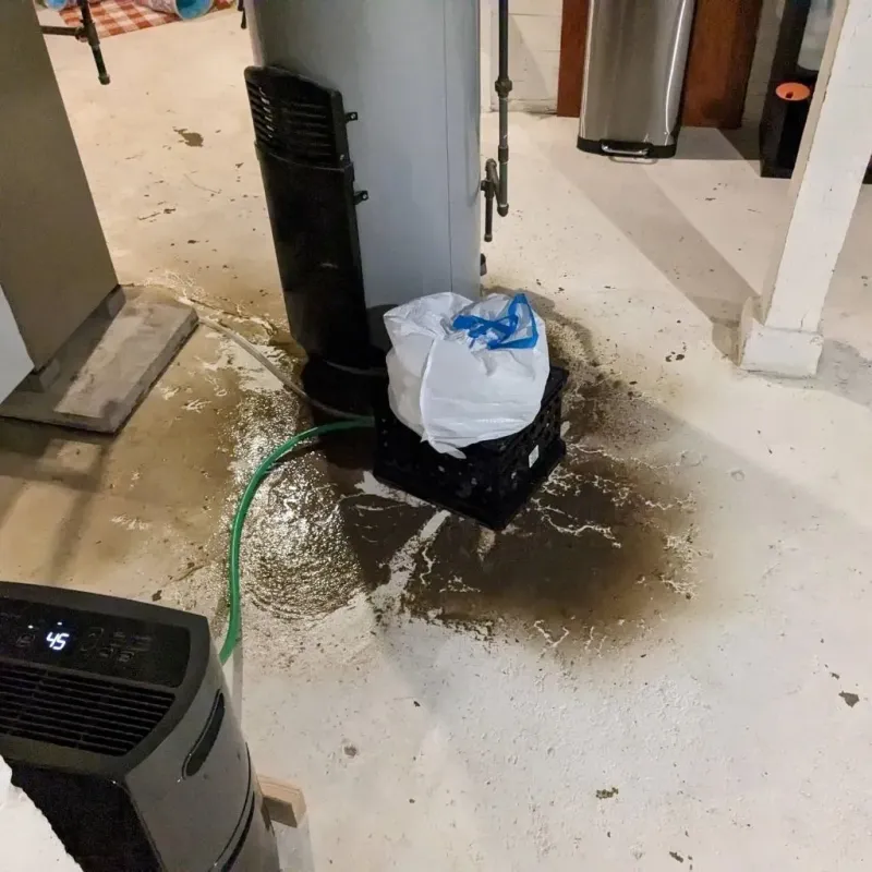 Sewage Backup Cleanup Service in Harpersville, AL